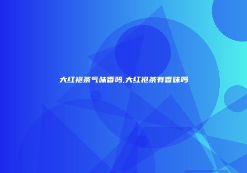 大红袍茶气味香吗,大红袍茶有香味吗