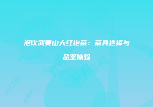 泡饮武夷山大红袍茶：茶具选择与品鉴体验