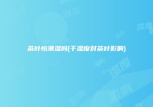 茶叶怕潮湿吗(干湿度对茶叶影响)
