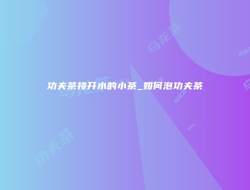 功夫茶接开水的小茶_如何泡功夫茶