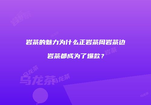 岩茶的魅力为什么正岩茶周岩茶边岩茶都成为了爆款？