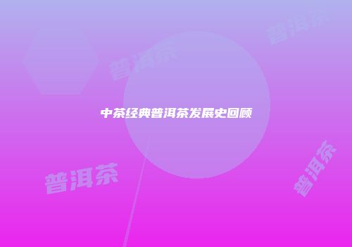 中茶经典普洱茶发展史回顾