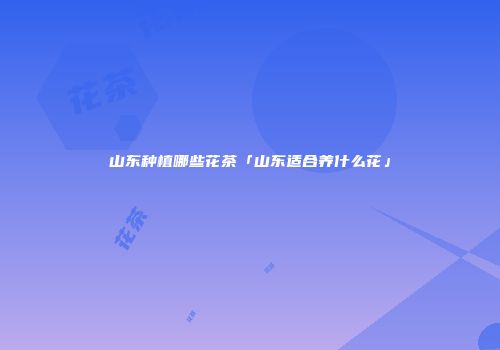 山东种植哪些花茶「山东适合养什么花」