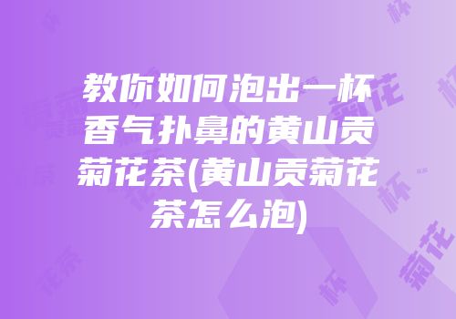 教你如何泡出一杯香气扑鼻的黄山贡菊花茶(黄山贡菊花茶怎么泡)
