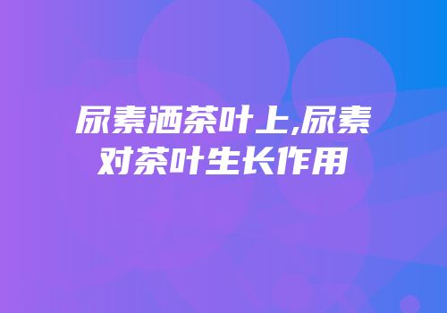 尿素洒茶叶上,尿素对茶叶生长作用