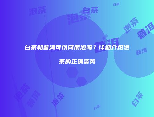 白茶和普洱可以同用泡吗？详细介绍泡茶的正确姿势