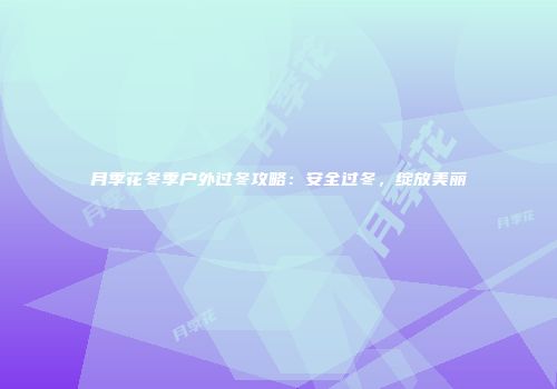 月季花冬季户外过冬攻略：安全过冬，绽放美丽