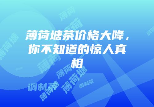 薄荷塘茶价格大降，你不知道的惊人真相