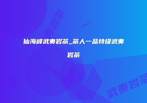 仙海峰武夷岩茶_茶人一品特级武夷岩茶