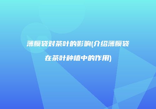 薄膜袋对茶叶的影响(介绍薄膜袋在茶叶种植中的作用)