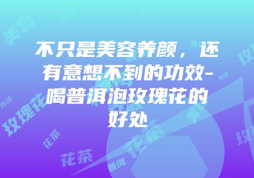 不只是美容养颜，还有意想不到的功效-喝普洱泡玫瑰花的好处