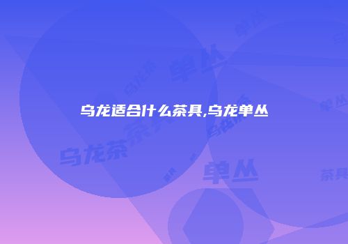 乌龙适合什么茶具,乌龙单丛