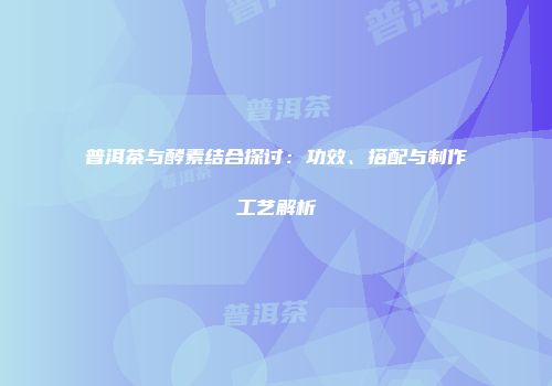 普洱茶与酵素结合探讨：功效、搭配与制作工艺解析