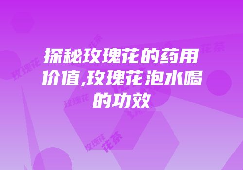 探秘玫瑰花的药用价值,玫瑰花泡水喝的功效