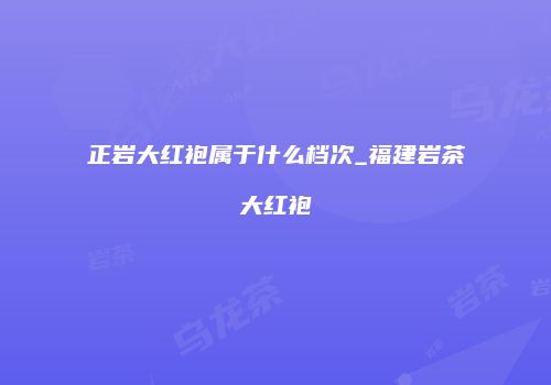 正岩大红袍属于什么档次_福建岩茶大红袍