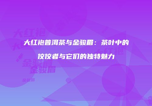 大红袍普洱茶与金骏眉：茶叶中的佼佼者与它们的独特魅力