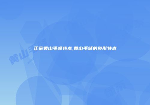 正宗黄山毛峰特点,黄山毛峰的外形特点