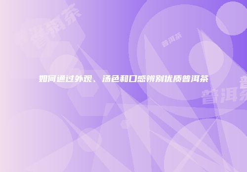 如何通过外观、汤色和口感辨别优质普洱茶