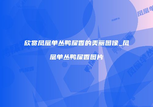 欣赏凤凰单丛鸭屎香的美丽图像_凤凰单丛鸭屎香图片
