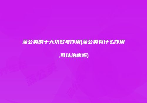 蒲公英的十大功效与作用(蒲公英有什么作用,可以治病吗)