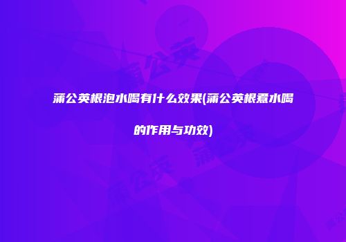 蒲公英根泡水喝有什么效果(蒲公英根煮水喝的作用与功效)