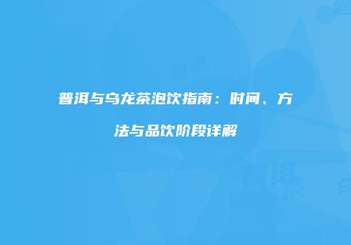 普洱与乌龙茶泡饮指南：时间、方法与品饮阶段详解
