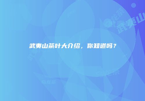 武夷山茶叶大介绍，你知道吗？