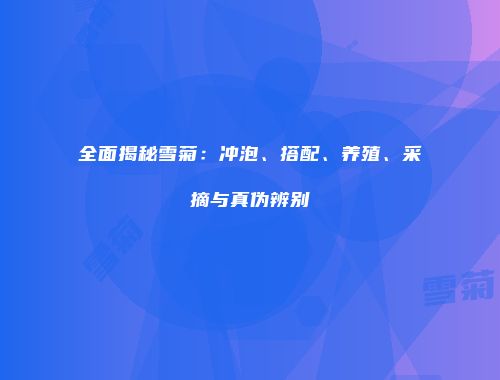 全面揭秘雪菊：冲泡、搭配、养殖、采摘与真伪辨别