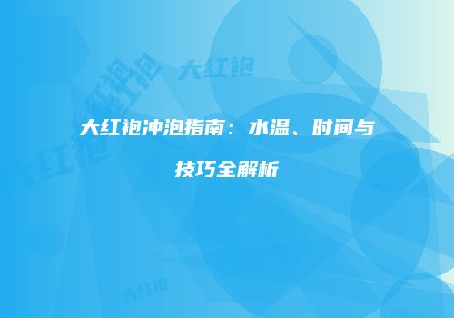 大红袍冲泡指南：水温、时间与技巧全解析
