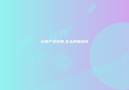 云南产龙井吗,怎么辨别龙井