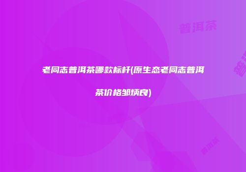 老同志普洱茶哪款标杆(原生态老同志普洱茶价格邹炳良)