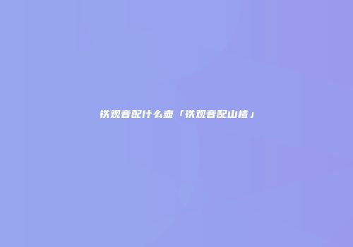 铁观音配什么壶「铁观音配山楂」