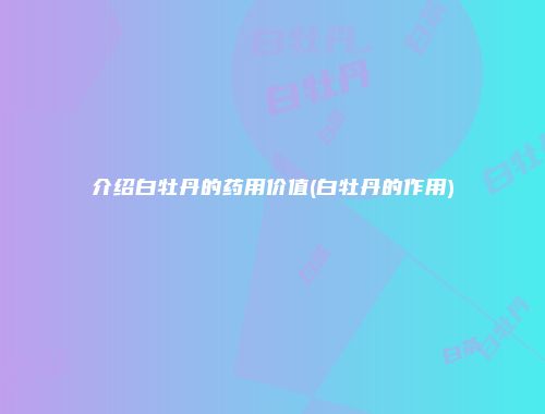 介绍白牡丹的药用价值(白牡丹的作用)