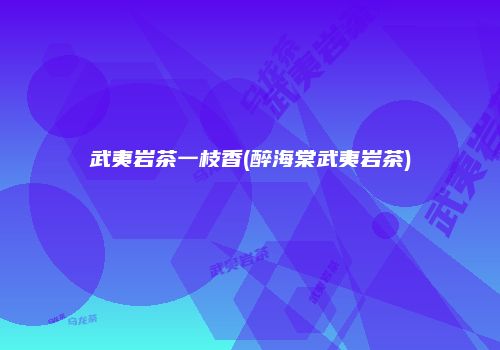 武夷岩茶一枝香(醉海棠武夷岩茶)