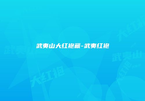 武夷山大红袍藏-武夷红袍