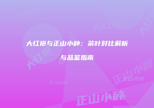 大红袍与正山小种：茶叶对比解析与品鉴指南