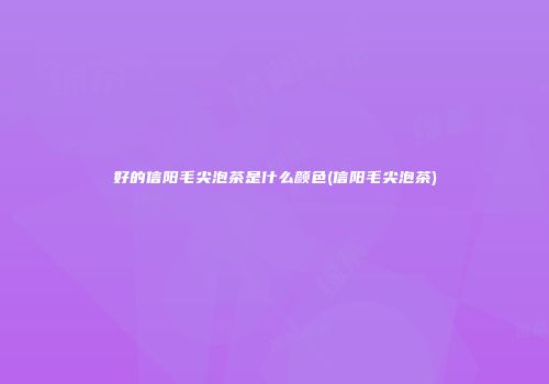 好的信阳毛尖泡茶是什么颜色(信阳毛尖泡茶)