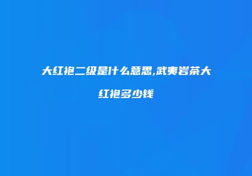 大红袍二级是什么意思,武夷岩茶大红袍多少钱