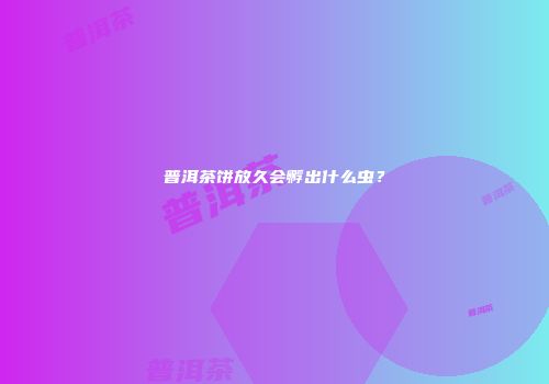 普洱茶饼放久会孵出什么虫？