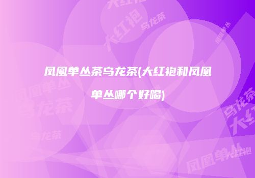 凤凰单丛茶乌龙茶(大红袍和凤凰单丛哪个好喝)