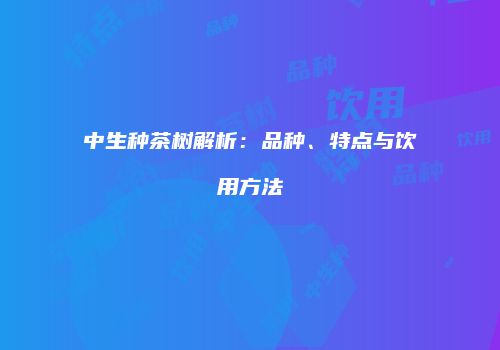 中生种茶树解析：品种、特点与饮用方法