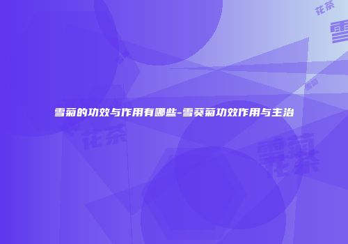 雪菊的功效与作用有哪些-雪葵菊功效作用与主治