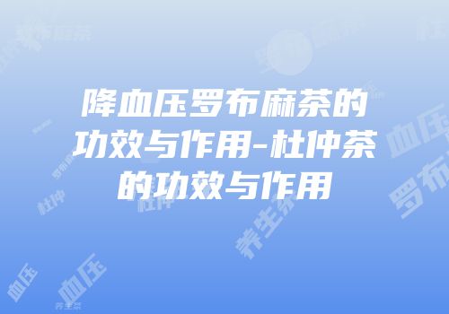 降血压罗布麻茶的功效与作用-杜仲茶的功效与作用