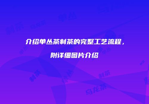 介绍单丛茶制茶的完整工艺流程，附详细图片介绍
