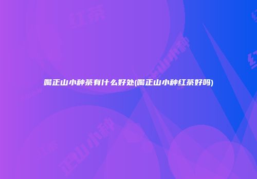 喝正山小种茶有什么好处(喝正山小种红茶好吗)