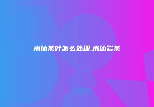 水仙茶叶怎么处理,水仙岩茶