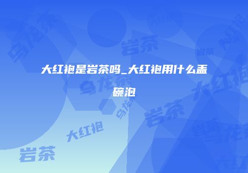 大红袍是岩茶吗_大红袍用什么盖碗泡