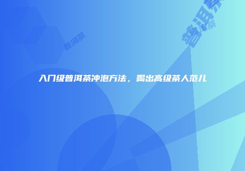 入门级普洱茶冲泡方法，喝出高级茶人范儿