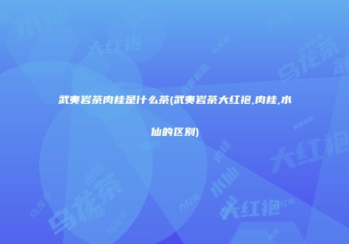 武夷岩茶肉桂是什么茶(武夷岩茶大红袍,肉桂,水仙的区别)