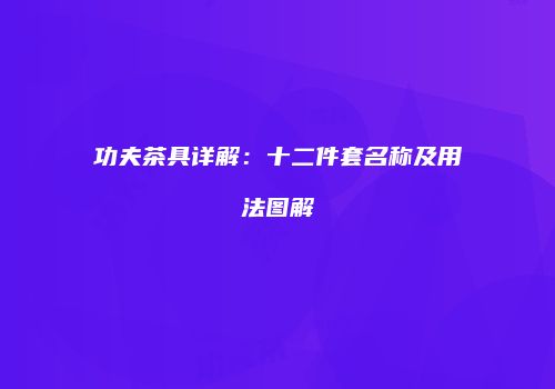功夫茶具详解：十二件套名称及用法图解